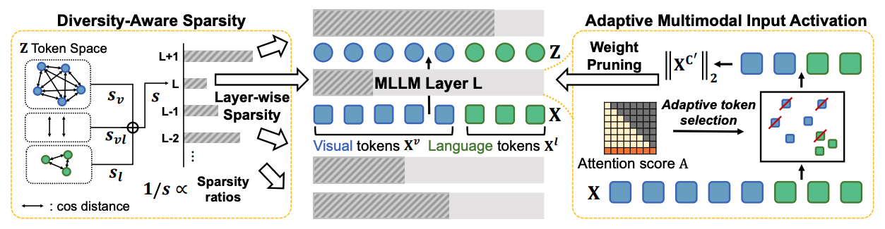 TAMP: Token Adaptive Layerwise Pruning in Multimodal Large Language Models 