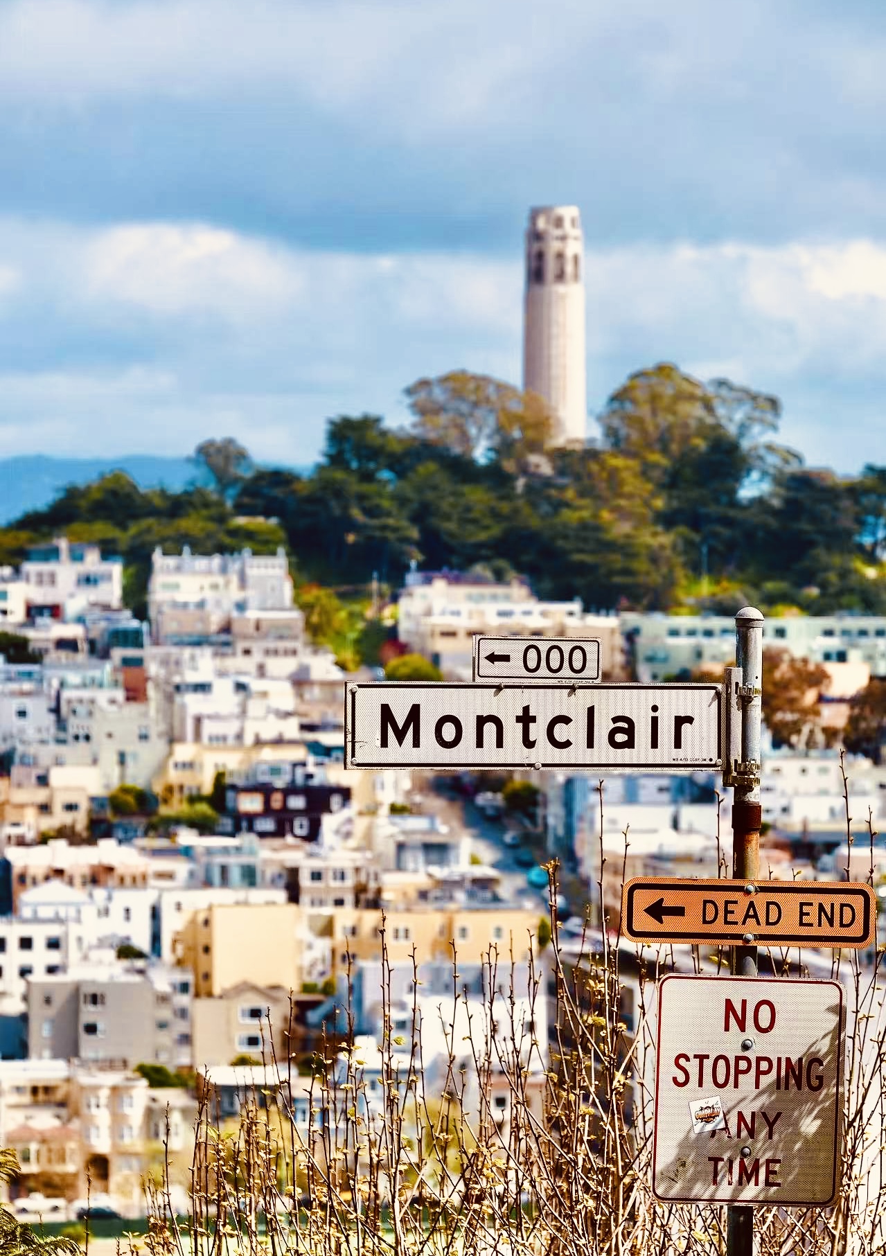 San Francisco